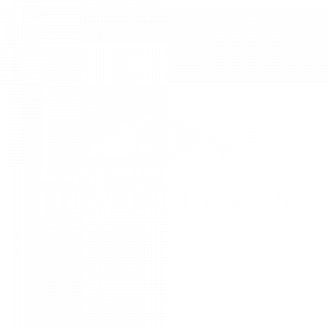 Roofing Expert New Orleans logo